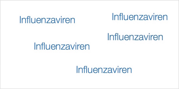 Influenzaviren