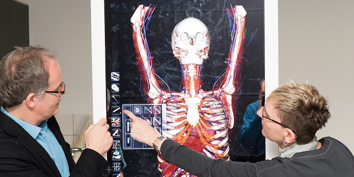 Anatomie in 3D: Virtuelle Seziertische unterstützen die Lehre