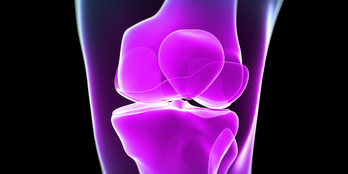 Mikro-CT-Analyse von Knorpeldegeneration bei Achsfehlstellung der Beine